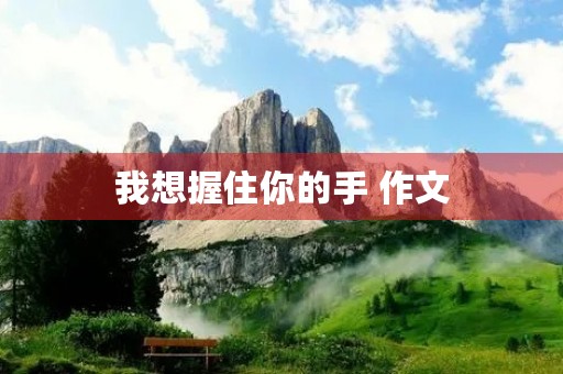 我想握住你的手 作文