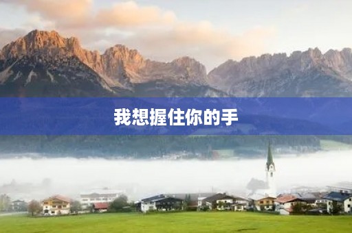 我想握住你的手 我想握住你的手