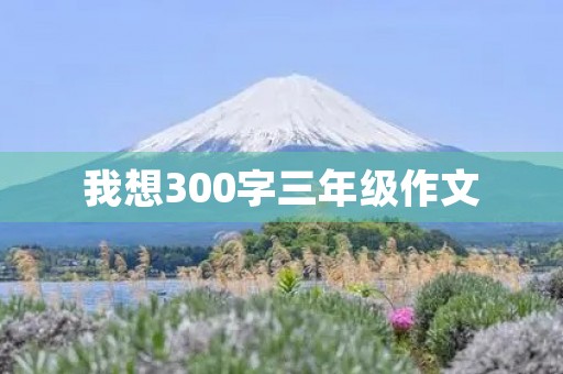 我想300字三年级作文