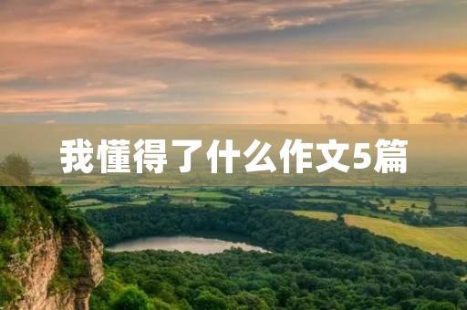 我懂得了什么作文5篇 我懂得了什么作文5篇