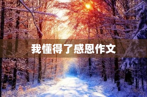 我懂得了感恩作文 我懂得了感恩作文
