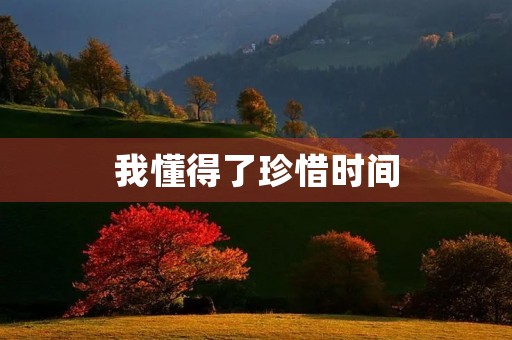 我懂得了珍惜时间 我懂得了珍惜时间