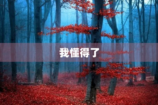 我懂得了,感恩生命中的每一份温暖 我懂得了,感恩生命中的每一份温暖