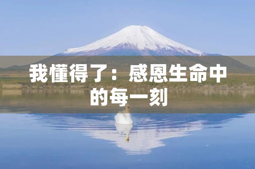 我懂得了：感恩生命中的每一刻
