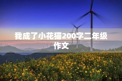 我成了小花猫200字二年级作文 我成了小花猫200字二年级作文