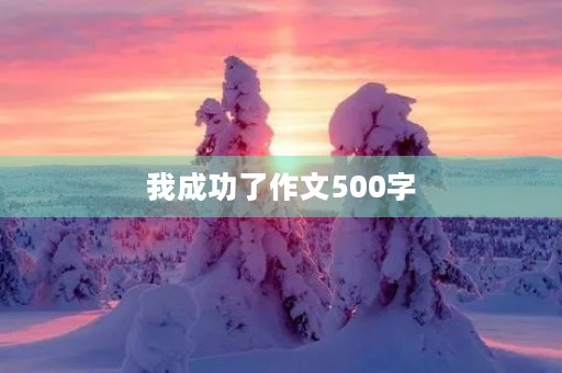 我成功了作文500字 我成功了作文500字