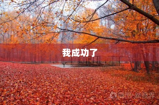 我成功了 我成功了
