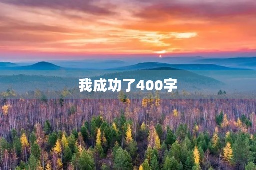 我成功了400字