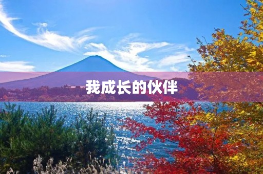 我成长的伙伴