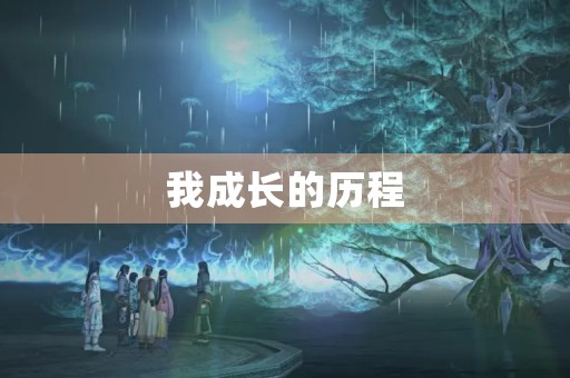我成长的历程