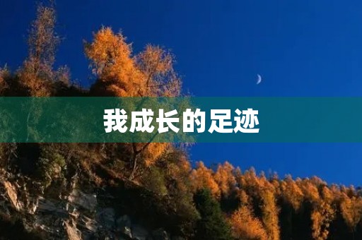我成长的足迹