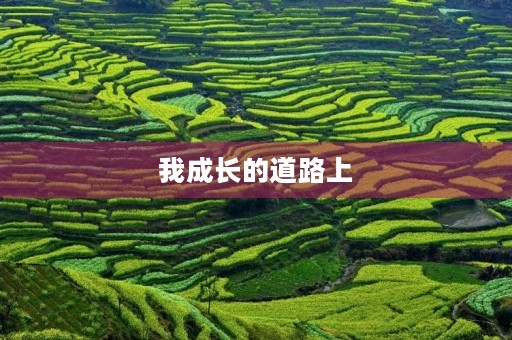 我成长的道路上 我成长的道路上