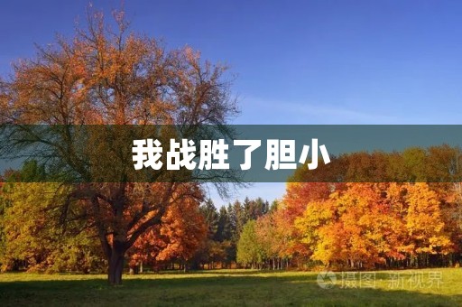 我战胜了胆小