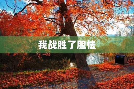 我战胜了胆怯 我战胜了胆怯