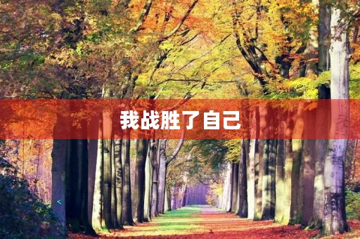 我战胜了自己