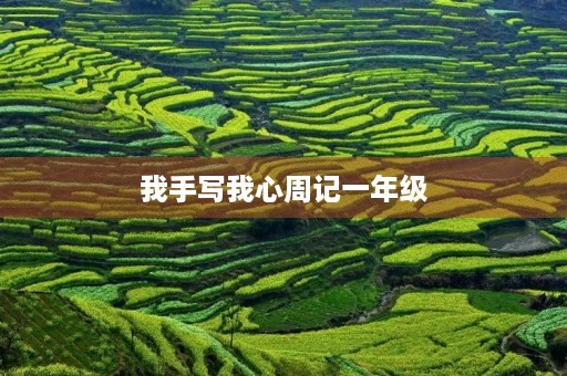 我手写我心周记一年级