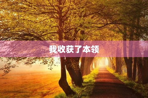 我收获了本领