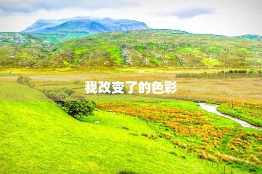 我改变了的色彩