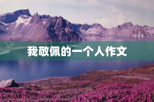 我敬佩的一个人作文 我敬佩的一个人作文