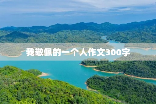 我敬佩的一个人作文300字 我敬佩的一个人作文300字