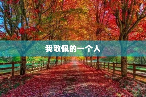 我敬佩的一个人