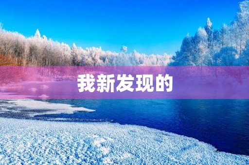 我新发现的 我新发现的