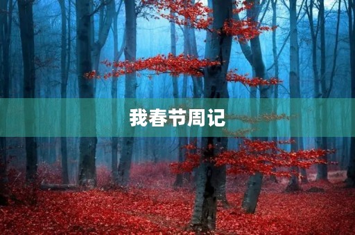 我春节周记 我春节周记