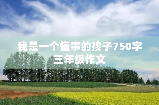 我是一个懂事的孩子750字三年级作文