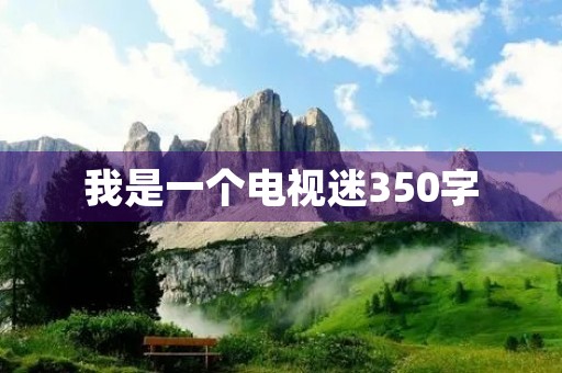 我是一个电视迷350字