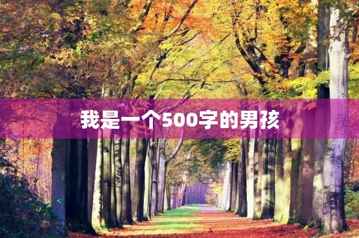 我是一个500字的男孩