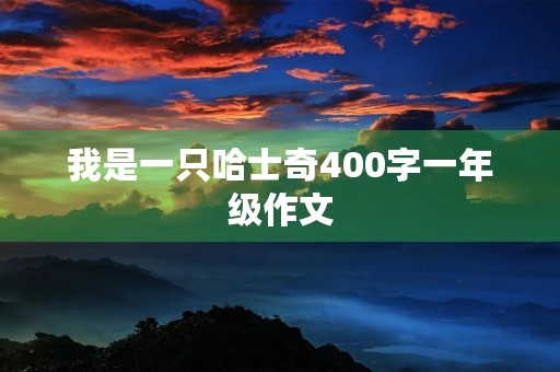 我是一只哈士奇400字一年级作文