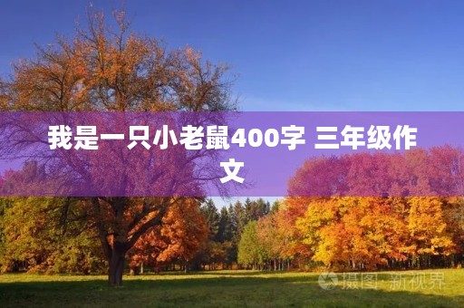 我是一只小老鼠400字 三年级作文