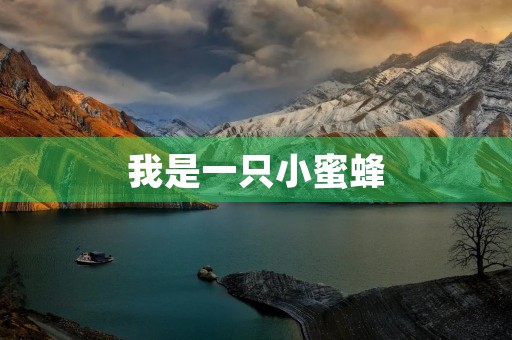我是一只小蜜蜂，勤劳又可爱