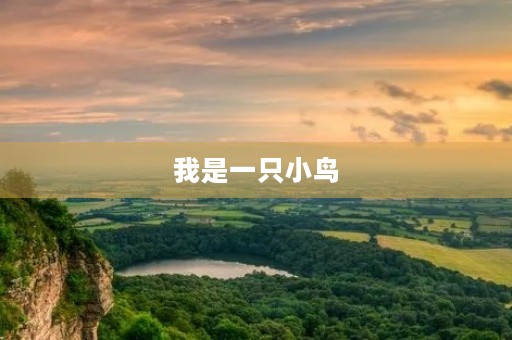 我是一只小鸟 我是一只小鸟