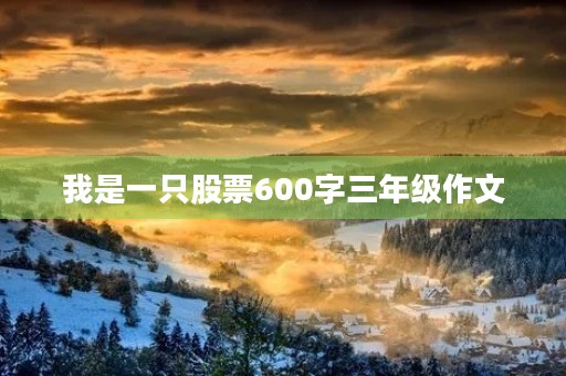我是一只股票600字三年级作文