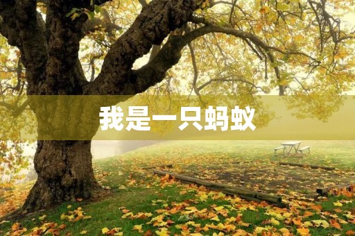 我是一只蚂蚁，为了家园而奋斗