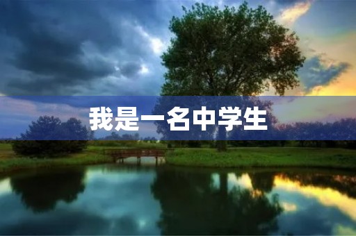我是一名中学生