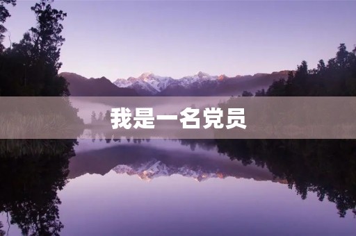 我是一名党员,这是我的个人总结 我是一名党员,这是我的个人总结
