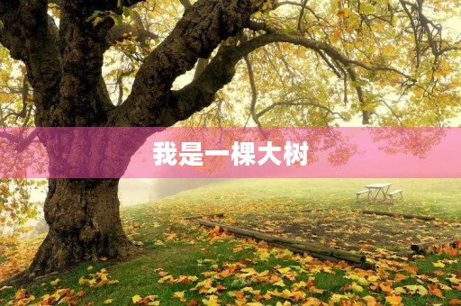 我是一棵大树 我是一棵大树
