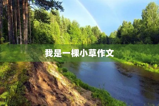 我是一棵小草作文