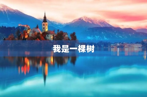 我是一棵树