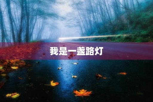 我是一盏路灯 我是一盏路灯
