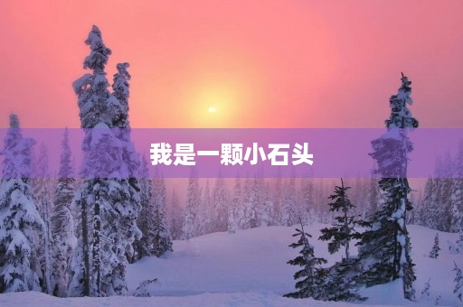 我是一颗小石头，见证着大自然的变迁