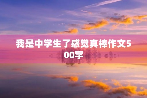 我是中学生了感觉真棒作文500字