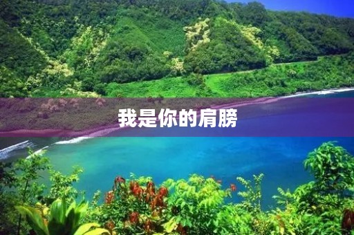 我是你的肩膀，扶你向上攀登