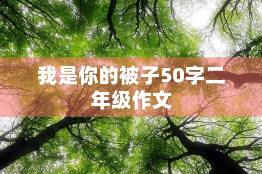 我是你的被子50字二年级作文