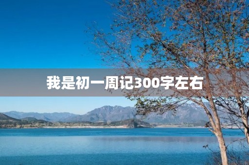 我是初一周记300字左右 我是初一周记300字左右