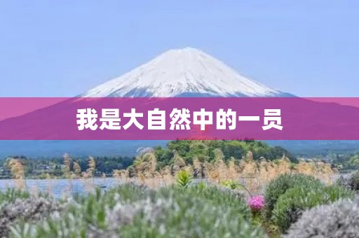 我是大自然中的一员