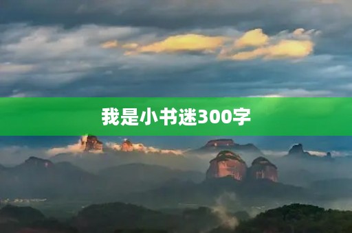 我是小书迷300字