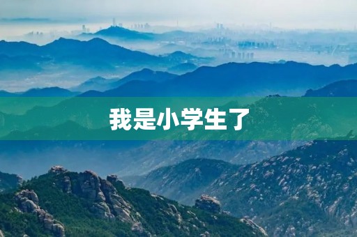我是小学生了